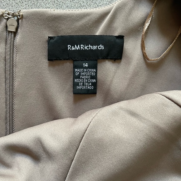 R&M Richard's Shimmer Champagne Gown
NWT Size 14 - Picture 9 of 15